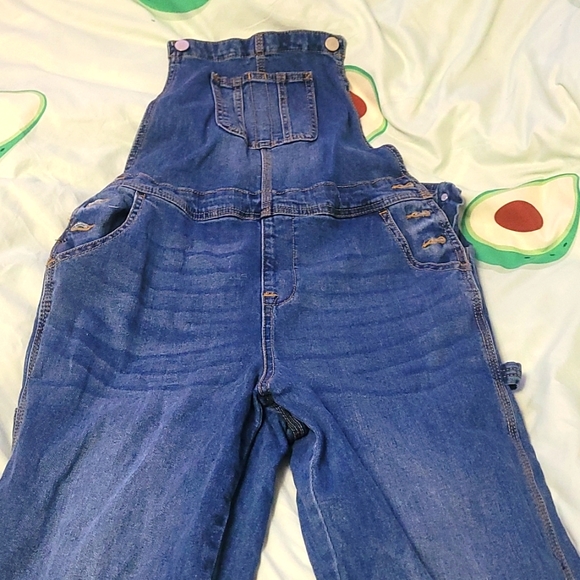 Overalls - Picture 1 of 2